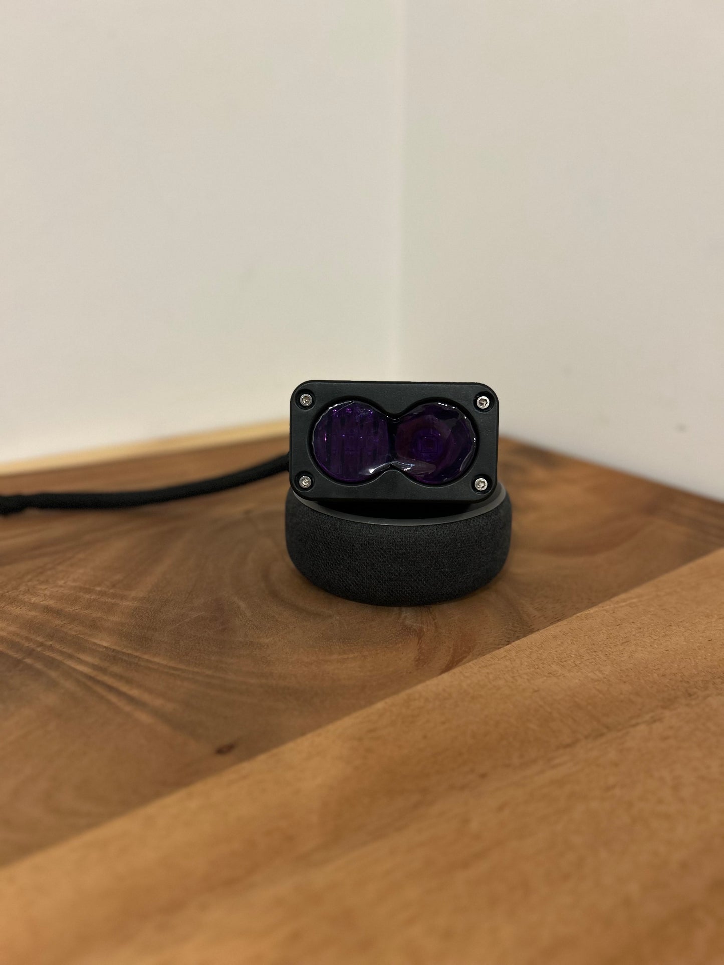 RXT Purple Baja Tint